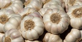 Szybkie szczegóły Typ: czosnek Rodzaj produktu: Liliowy warzywny Styl: