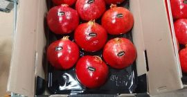 możemy negocjować +998904061707 Jestem na WhatsApp i telegramie