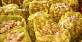 Nazwa produktu: ŚWIEŻY IMBIR Waga / Rozmiar: 100g-150g-200g-250g-300g w