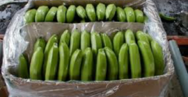 Banan w pudełkach ważących 19.5 kg po 2.9 zł