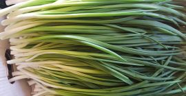 Sprzedam szczypiorek pakowany w folie.