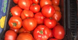 POMIDORY BEZPOŚREDNIO OD PRODUCENTA W ALBANII! Rewelacyjny smak i