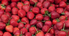 Świeży wodny melon i truskawki z gospodarstwa w przystępnych