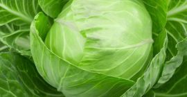 Świeża kapusta w niskiej cenie.