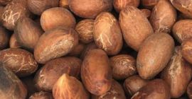 Gorzka kola jest bardzo przydatnym owocem o licznych korzyściach