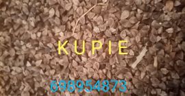 Kupię gryke, każda ilość i jakość płatność gotówko woj.