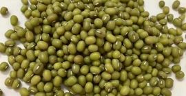 Product Type: Vigna Beans Type: Mung Beans Style: Dried