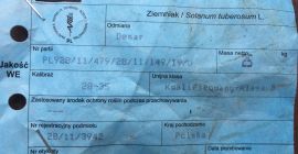 Plon z 1,5 h ziemniaków młodych (DENAR)(około lipca 2020)