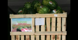 Nasza siedziba znajduje się w Agadirze i pochodzi z