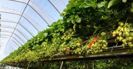 Witam, jesteśmy nowoczesną firmą z Wielkopolski. Zajmujemy się produkcją