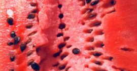 Arbuz grecja za 5 dni 100 ton