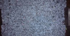 Sprzedam ekologiczne owoce jagody kamczackiej - odmiana Wojtek (najsmaczniejsza