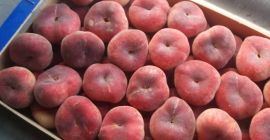 Sprzedam brzoskwinię płaską - paragwajkę, ładna, świeża, smaczna, import