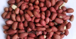 ***Orzech ziemny (surowy, cały)*** Bez skorupki, okrągłej formy, surowy,