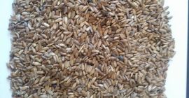 Wilgotność nie większa niż 6% Czystość nie mniejsza niż