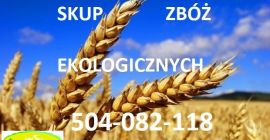 Kupię zboża konwencjonalne i ekologiczne: żyto, pszenżyto, owies, jęczmień,