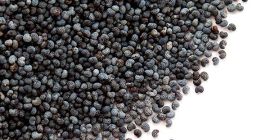 Oferuję do sprzedaży czeski mak niebieski, I. i II.