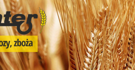 PPHU Ginter zakontraktuje rzepak na żniwa 2020. Odbieramy w