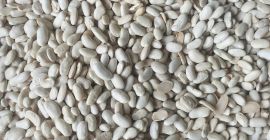 Sprzedaję wybraną fasolę, fasolę białą w cenie 4,5 lei