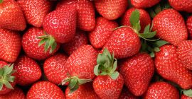 Witam. Mam do zaoferowania różne odmiany truskawek wysokiej jakości.