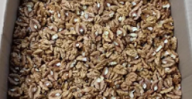 Wysuszone, łuskane orzechy włoskie. Idealne do wypieków. Polecam