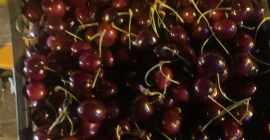 Mam do sprzedani grecka czereśnie 26+ kaliber codziennie są