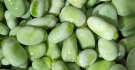 Sprzedajemy najwyższej jakości bób z Egiptu z różnymi ilościami