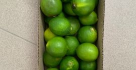 Limonka sprzedam detal/hurt. Możliwy dowóz ilość/miejsca/ dzień tygodnia. Karton