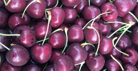 Czereśnie greckie odmiany Kordia. Świeża dostawa. Dostępne kalibry 26+