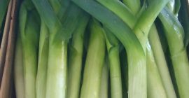 Por młody odmiana Lincoln i Columbus. Duże ilosci. Tel.