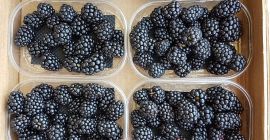 1 kg patelni 125 g koszy