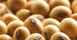 przy dobrej wysyłce produktu nie jest za darmo