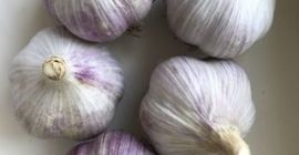 Sprzedaję czosnek ECO.