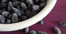 Owoce Jagody kamczackiej. Cena uzależniona od ilości zakupionego owoca.