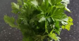 Mam na sprzedaż nać pietruszki za pęczek 1zl