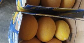 Sort “ żuldyż” dostawa ekspresowa w 5 dni!!!