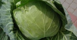 Kapusta - Cięta Świeżo na zamówienie Cena 1 zł