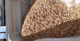 Witam sprzedam orzecha włoskiego świeżo łuskany w 100% pochodzi