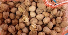 Witam, sprzedam orzecha włoskiego w skorupie. Za dopłatą możliwość