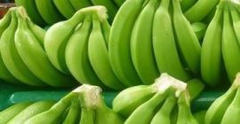 Typ produktu: Świeży zielony kawendyjski banan Oryginalne miejsce: Kamerun,