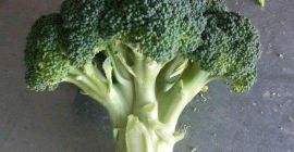 Melon ze słonecznego Uzbekistanu. Klasa torpedowa.