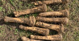 Cena do uzgodnienia. Dostępne są produkty pierwszej do czwartej