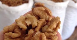 Sprzedajemy orzechy włoskie, kupowane bezpośrednio od producenta i starannie