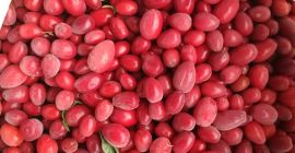 Dereń jadalny mroźony