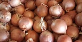 Hiszpańska Grupa Producencka TJ Agricultura - oferuje warzywa, w