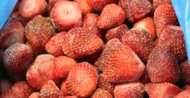 Mrożona truskawka z Egiptu 1,06 euro / kg Odbiór
