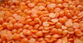 Red Split Lentils Shelf life: 24 months Specification: Moisture