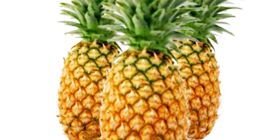 Fresh Fruits: Orange , Lemon , Limes , Grapefruits