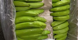 CAVENDISH VALERY-BANANA, 80 000 kg, Wiedeń