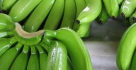 Kolor Zielony, żółty Średnica 3-4 cm Długość 17-20 cm